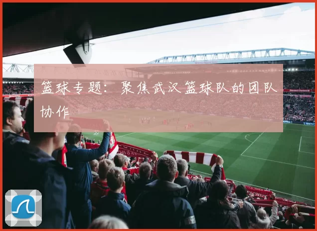 篮球专题：聚焦武汉篮球队的团队协作