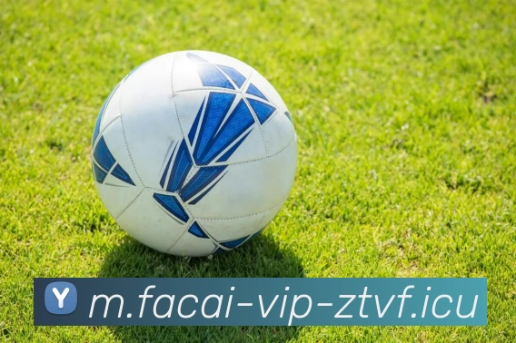 乐鱼体育发展历程